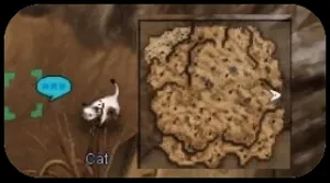 Cat teleporting to Dimensional Gorge