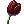 1001994.webp
