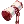 100655.webp