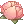 12365.webp