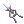 1252.webp