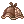 19738.webp
