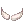 2238.webp