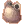 2351.webp
