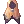 2515.webp