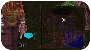 30.webp