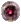 310214.webp