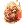 310909.webp