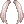 31231.webp