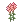 31234.webp