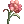 312509.webp
