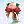 410295.webp