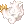 41254.webp
