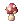 5082.webp