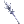 530034.webp