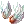 5495.webp