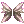 60667.webp