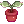 60770.webp