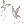 60930.webp