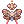 61477.webp