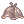 62392.webp