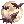 62802.webp