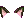 63012.webp
