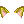 63017.webp