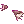 63057.webp