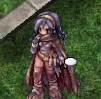 mercenaryshop2.webp